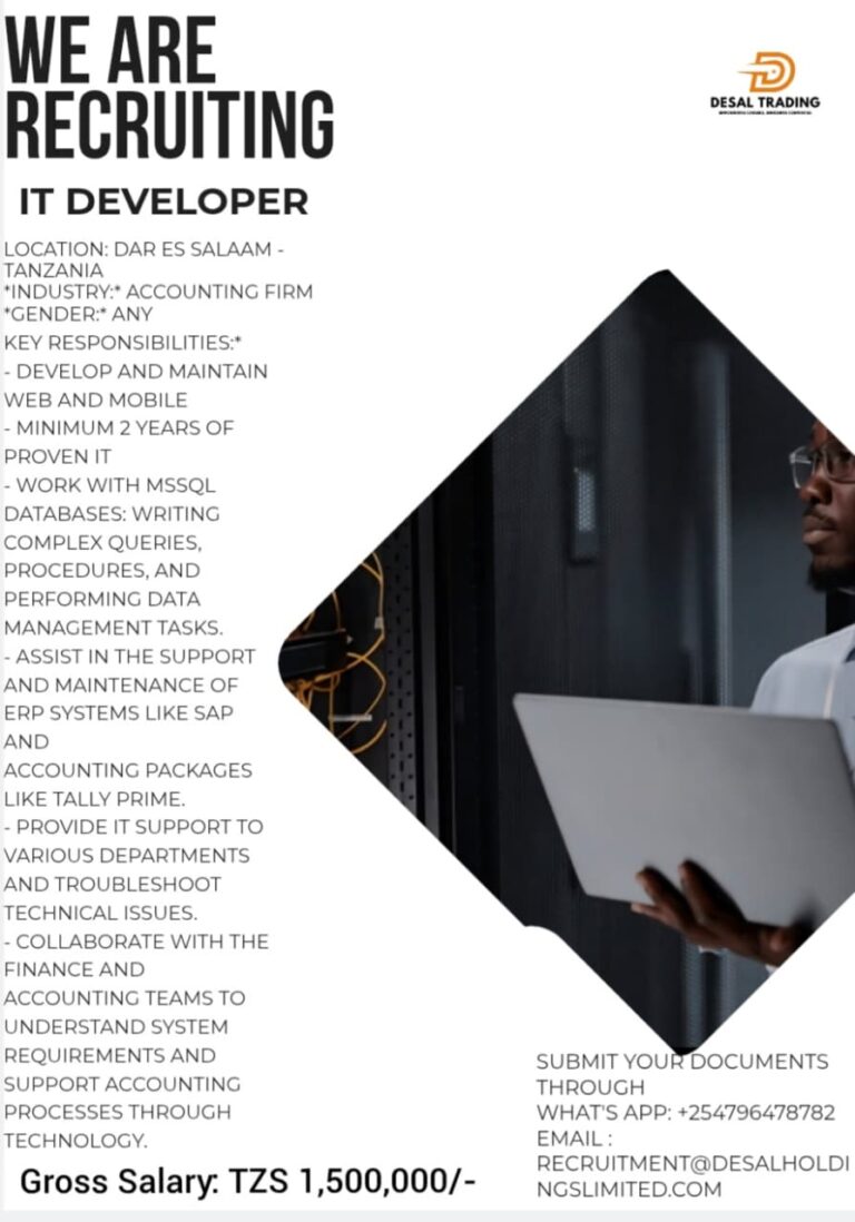 IT DEVELOPER
